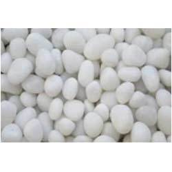Manufacturers,Suppliers of Pebble Stone